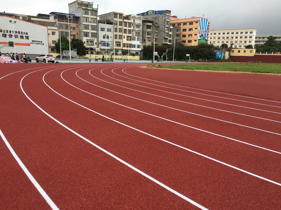 西双版纳傣族自治州硅PU材料塑胶跑道材料 - 厂家